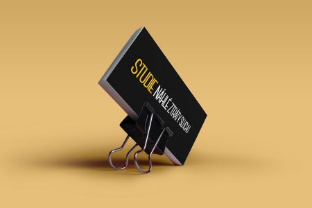 Logo Studie náhlé ztráty sluchu